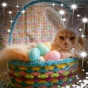 Meet your Posher, Lou ann